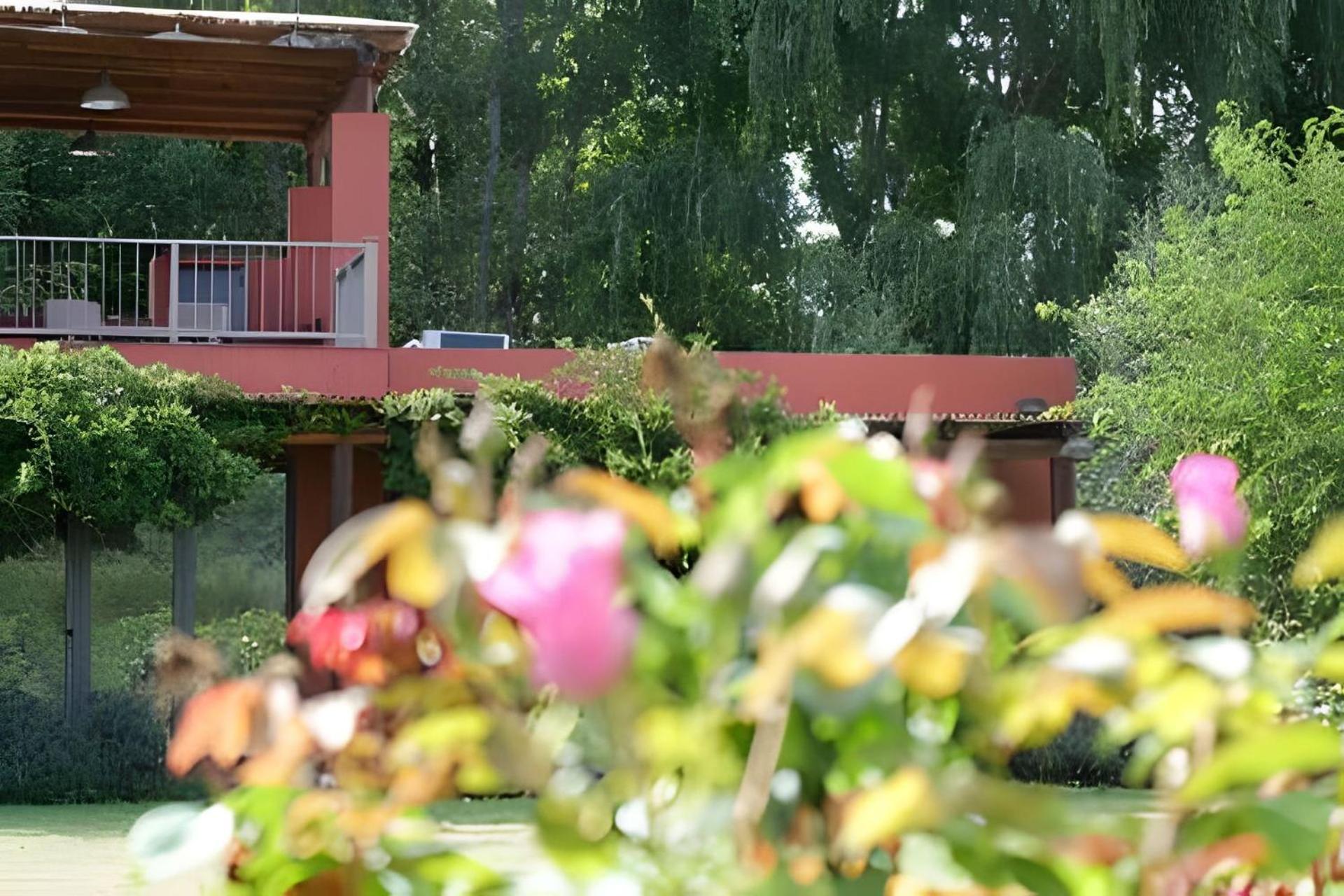 Finca Ogawa Los Sauces (Mendoza) Exterior foto