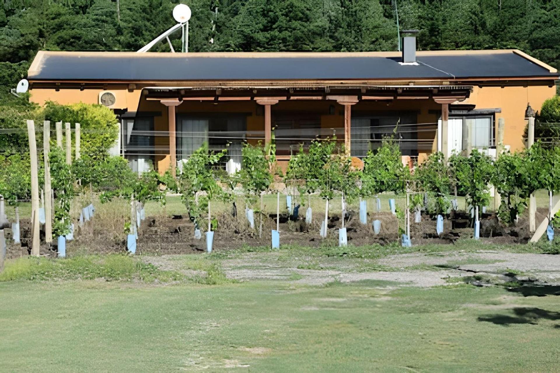 Finca Ogawa Los Sauces (Mendoza) Exterior foto