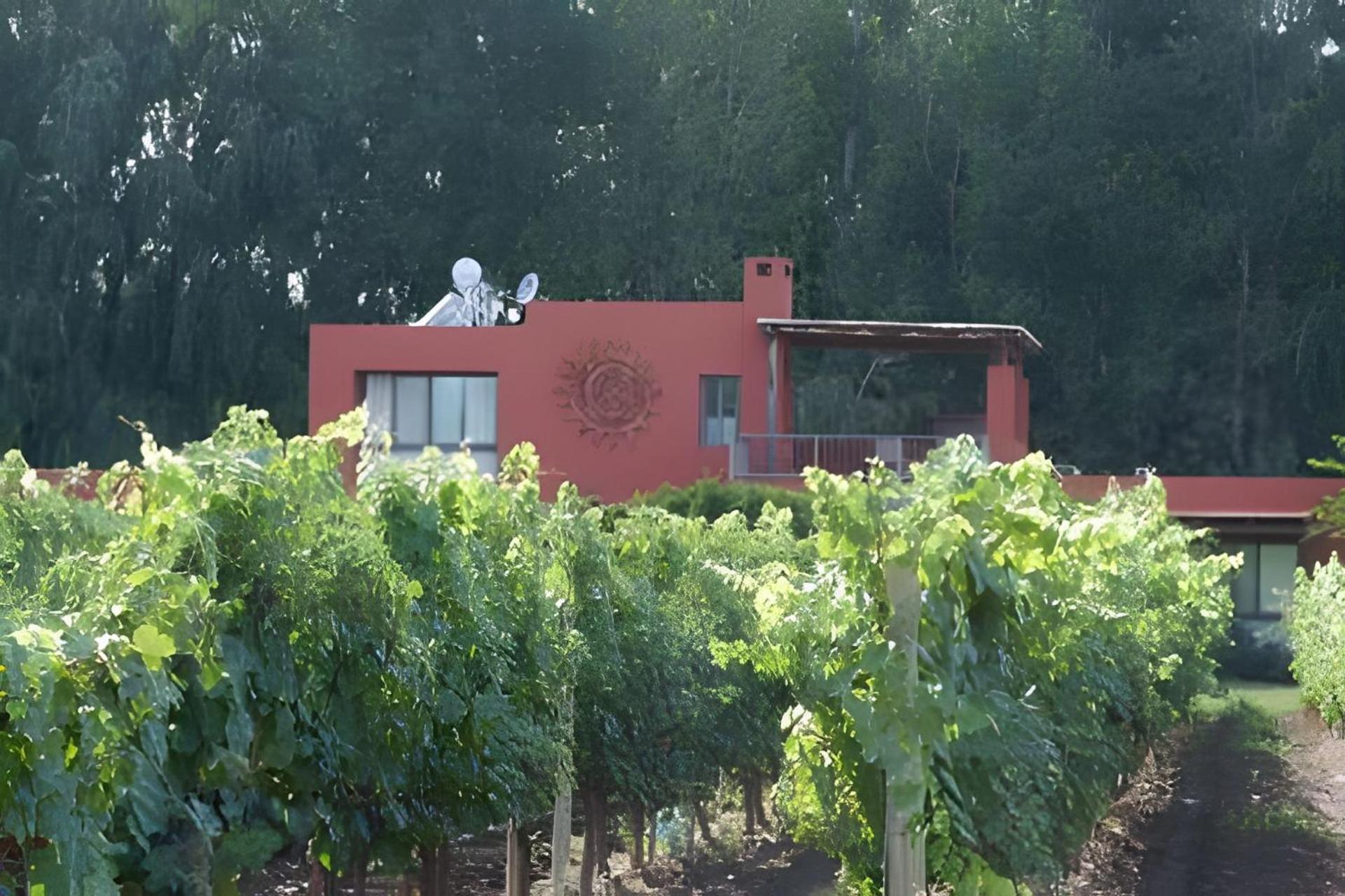 Finca Ogawa Los Sauces (Mendoza) Exterior foto